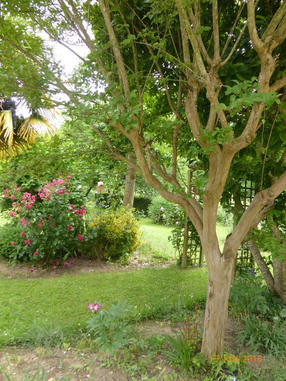 Bed and Breakfast Bedbreakfastbikespyrenees Loubieres Exteriér fotografie